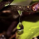 ���� �����, ������, 26 ��� - ��������� 11 �������� 2010 � ������ �����