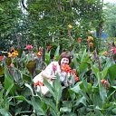 ���� �������, ������������, 69 ��� - ��������� 7 ������� 2011 � ������ ���� ����������