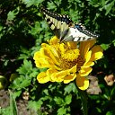 ���� ����, ������ �������� - ��������� 23 ������� 2011 � ������ �������