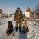 �������� ��������.