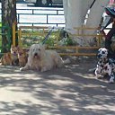 ���� Gor, �����, 57 ��� - ��������� 15 ������� 2012 � ������ ���� ����������