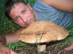 �������, ������, 48 ���