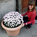 ���� ����, �����������, 38 ��� - ��������� 25 �������� 2011