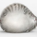 ���� ����, ������� - ��������� 8 ����� 2010 � ������ �������������