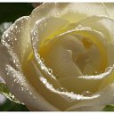 ���� ����, ��������, 48 ��� - ��������� 1 ������� 2011 � ������ ���� ����������