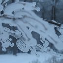 ���� Svetlana, ������, 59 ��� - ��������� 29 ������ 2011 � ������ ����������� ����������� 2011�