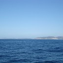  Serzh Van Der Maaremaan,  -  30  2009   RIVER TYNE