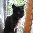 ���� ����, ������, 33 ���� - ��������� 5 ������� 2012 � ������ �05.10.12 ��� ���� ���� �� �������))�