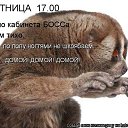 ���� ������, ������, 39 ��� - ��������� 24 ������ 2012 � ������ �������