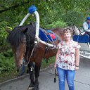 ���� ��������, �����������, 54 ���� - ��������� 6 ������� 2011 � ������ �����