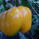 ���� �������, ��������� - ��������� 19 ������� 2012 � ������ ������ �� ������