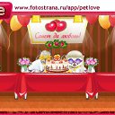  Arial,  , 42  -  6  2011   PetLove