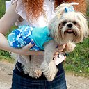 ���� "��������, ������, 39 ��� - ��������� 26 ������� 2012 � ������ ���� ����������