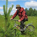  (     )), , 61  -  18  2013    