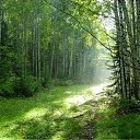 ���� Veli, ����, 49 ��� - ��������� 1 �������� 2011