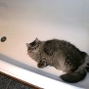 ��, ��� ����� ��� �! �� ������� ���� ������ ����� ������!!!�