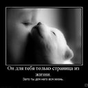 ���� ���������, ����������, 40 ��� - ��������� 22 ������� 2010 � ������ ����� � ����...�