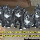 ���� Ninel, ���������, 61 ��� - ��������� 16 ������� 2012 � ������ �����Ȼ