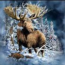  ir@ge))) ))), , 47  -  24  2012   