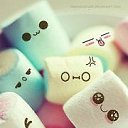 ���� ������, ���, 45 ��� - ��������� 24 ��� 2012 � ������ �������