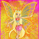 ���� ���� ���������� �������, ������, 23 ���� - ��������� 17 ���� 2010 � ������ �������