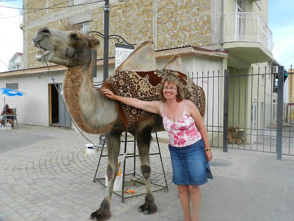 :  ,   .... - , 65 , 