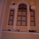 ���� �������, ������, 27 ��� - ��������� 7 ������� 2009 � ������ �.........)�