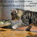 ���� �������, ������, 41 ��� - ��������� 11 ������� 2009 � ������ ��������� � ���������