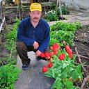 ���� �����, �������, 61 ��� - ��������� 21 �������� 2011