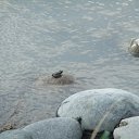  , , 41  -  23  2010   ~   ~