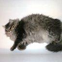 ���� Byaka, ���������, 41 ��� - ��������� 28 ������ 2010 � ������ ���� ������ ����� ������!!!�