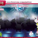  , , 34  -  13  2010   PetLove