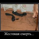 ���� Voron, ������, 45 ��� - ��������� 14 ���� 2010 � ������ ���������