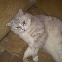 ���� �������, �������, 48 ��� - ��������� 28 ���� 2010 � ������ ���� ��� ��ʻ