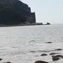 ���� S, �������, 40 ��� - ��������� 16 �������� 2012 � ������ �������