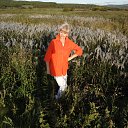 ���� ��������, ������, 68 ��� - ��������� 25 �������� 2012 � ������ ���� ����������