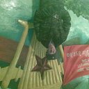  ..., , 35  -  16  2011    