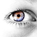 ���� �����, ������, 31 ��� - ��������� 28 ��� 2009