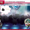  , , 36  -  11  2010   PetLove