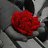 ���� �����(icq 227022216), �������, 40 ��� - ��������� 1 ������� 2009
