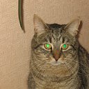 ���� ���������, ������, 54 ���� - ��������� 19 ������� 2012 � ������ ���� ����������