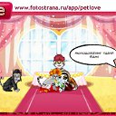  , , 34  -  22  2011   PetLove