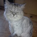 ���� �������, ���������, 52 ���� - ��������� 10 ���� 2013 � ������ ����� ��� ������������