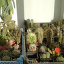 ���� ������, ������, 69 ��� - ��������� 5 ������ 2013 � ������ ���� ��������� ����������