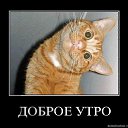 ���... ��� ���� ��� ����������...)