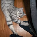 ���� ����� (=^.^=)_____?, �������� - ��������� 25 ���� 2013 � ������ ���� ����������