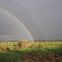 ���� ��������, �����������, 57 ��� - ��������� 18 ���� 2013 � ������ ���� ����������