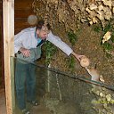 ���� ����, ������, 56 ��� - ��������� 9 �������� 2012 � ������ ���� ����������