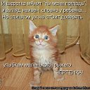 ���� ��������, �������� - ��������� 20 ����� 2012 � ������ �������� ��������
