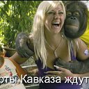 ���� ����, ������, 42 ���� - ��������� 16 ������� 2012 � ������ ���� ����������